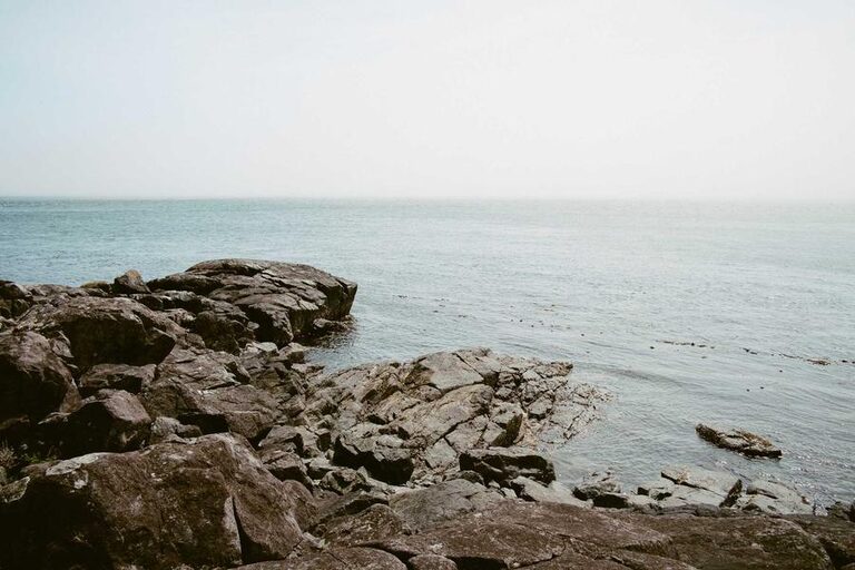 resized_17_fallback